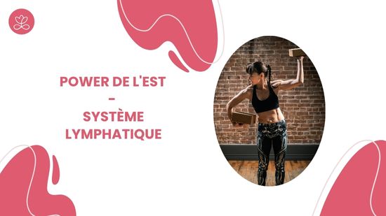 Power de l'Est - système lymphatique